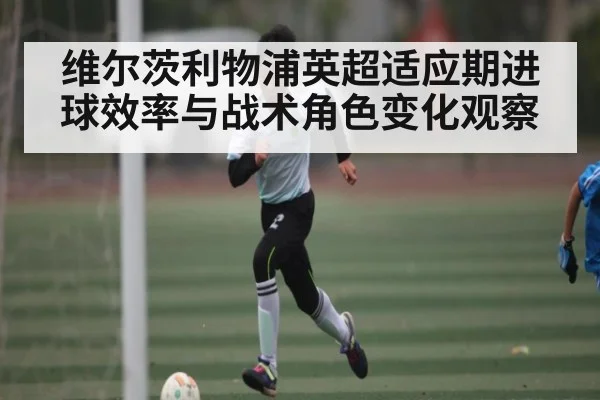 维尔茨利物浦英超适应期进球效率与战术角色变化观察 - kaiyun
